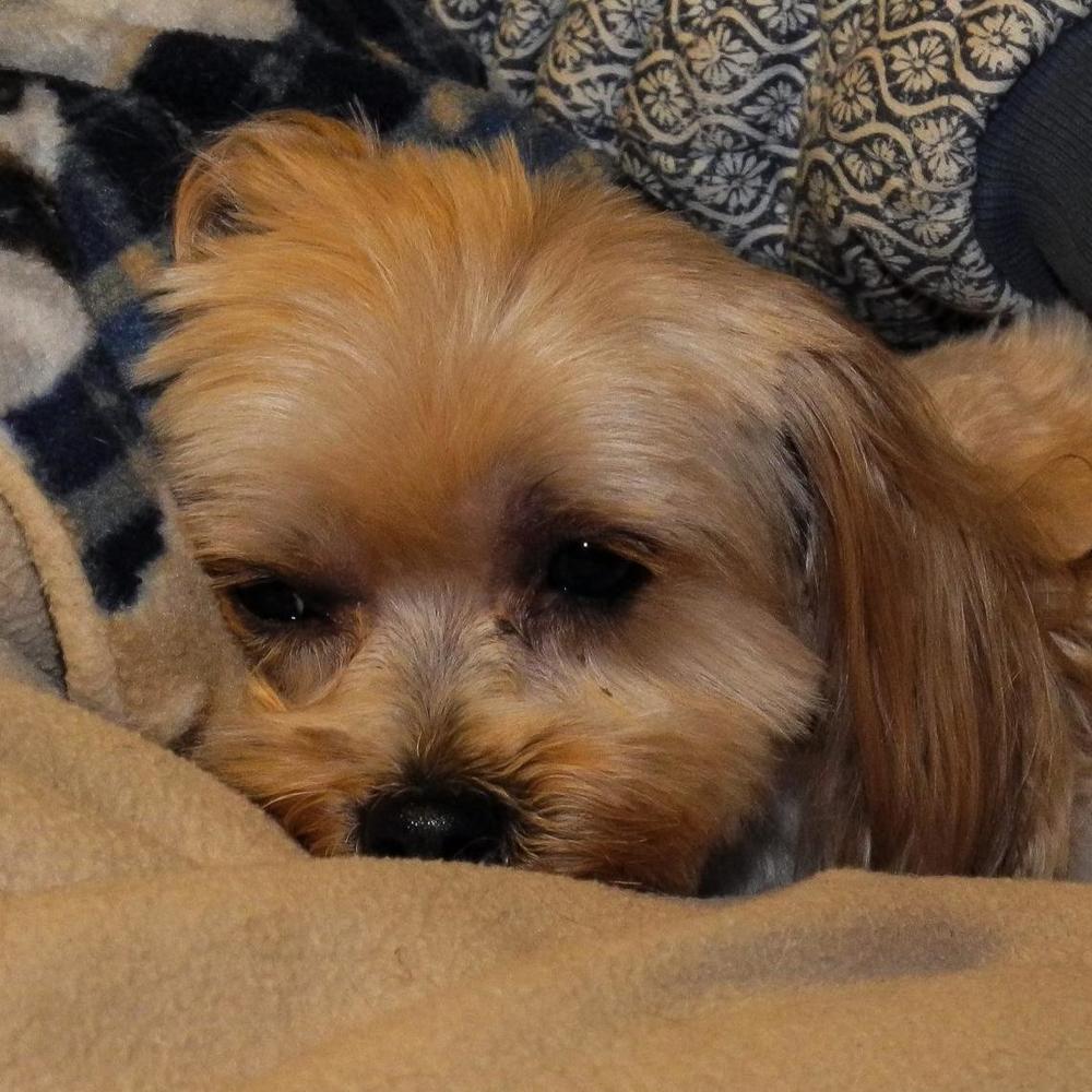 Meet your Posher, Jodi